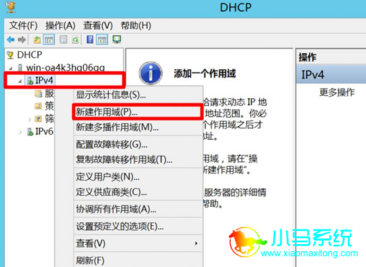����һ���IPv4����ѡ���½�������