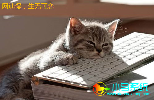 ���ٿ���ʱ�䲻һ