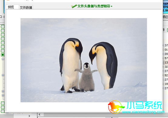 �ҳ���Ҫ�ָ����ļ������Խ������