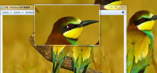 ��β�����Ч��ʹ��Win7�ķŴ󾵵���һ����?