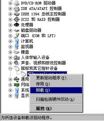 XP������������Ӧ�ٶ���ô�죿