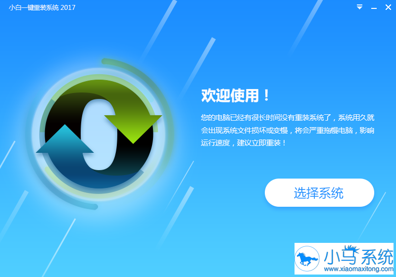 小白