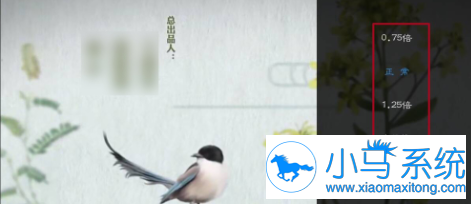�ٶ�������Ƶ���ٲ��Ź���ʹ�÷���